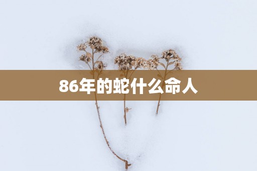 86年的蛇什么命人