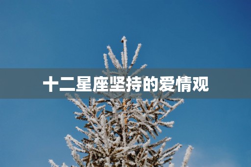十二星座坚持的爱情观