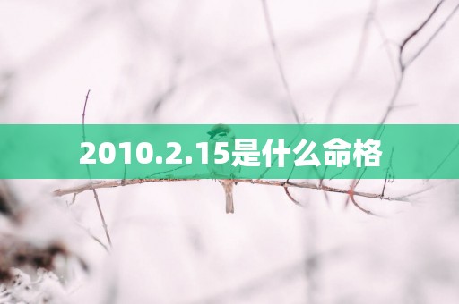 2010.2.15是什么命格