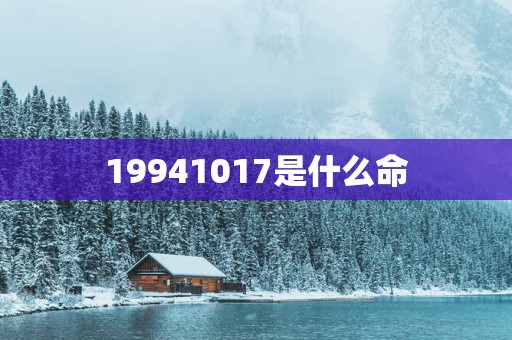 19941017是什么命