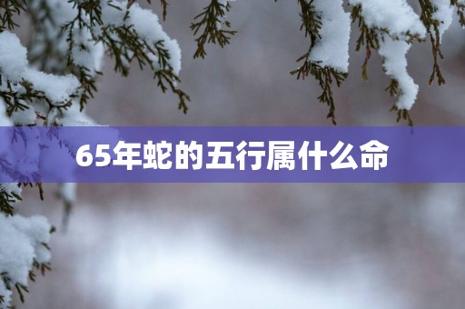 65年蛇的五行属什么命