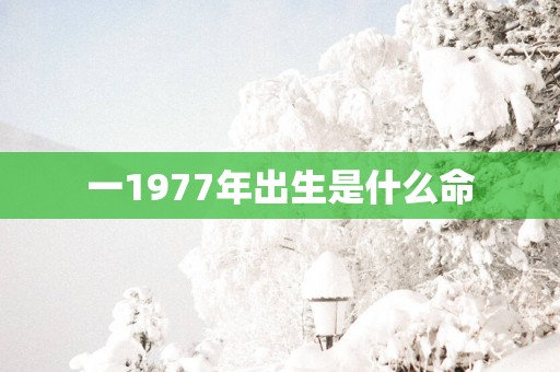 一1977年出生是什么命