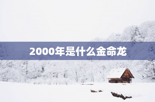 2000年是什么金命龙