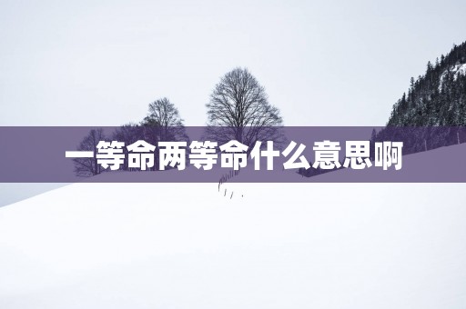 一等命两等命什么意思啊