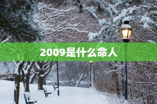 2009是什么命人