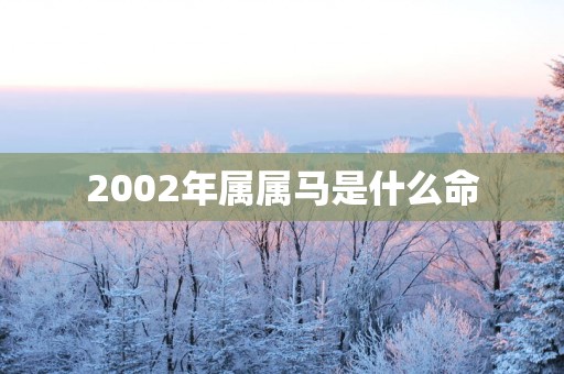 2002年属属马是什么命