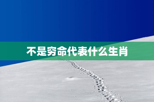 不是穷命代表什么生肖