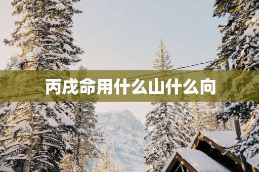 丙戌命用什么山什么向