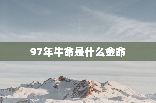 97年牛命是什么金命