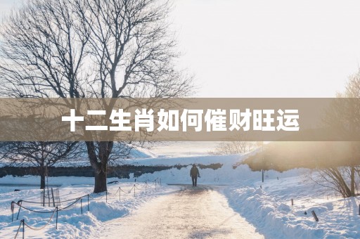 十二生肖如何催财旺运