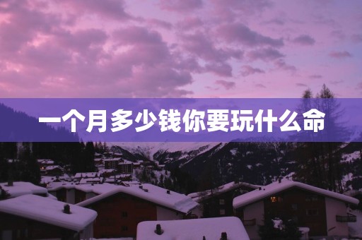一个月多少钱你要玩什么命