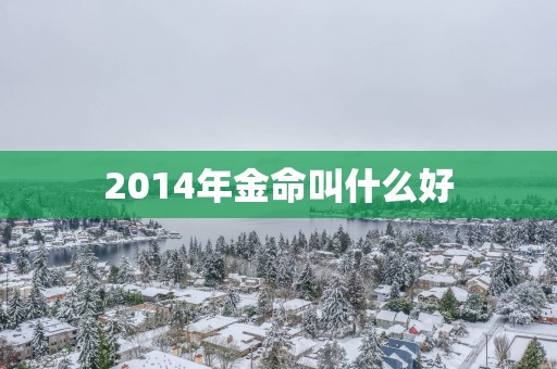 2014年金命叫什么好