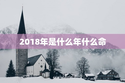 2018年是什么年什么命