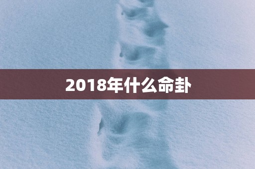2018年什么命卦