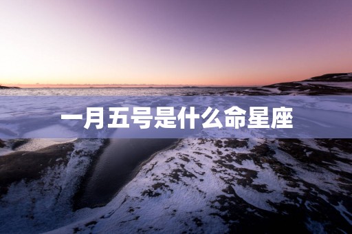 一月五号是什么命星座