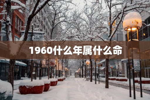 1960什么年属什么命