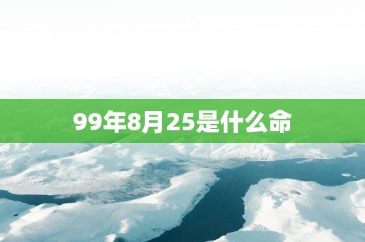 99年8月25是什么命