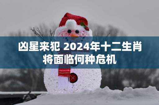 凶星来犯 2025年十二生肖将面临何种危机