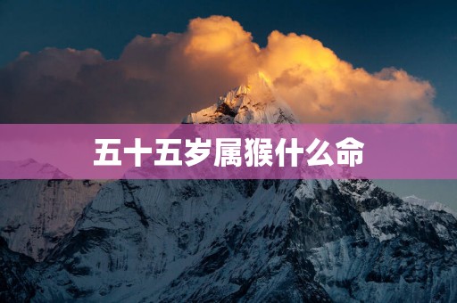 五十五岁属猴什么命