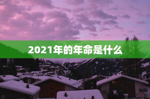 2025年的年命是什么