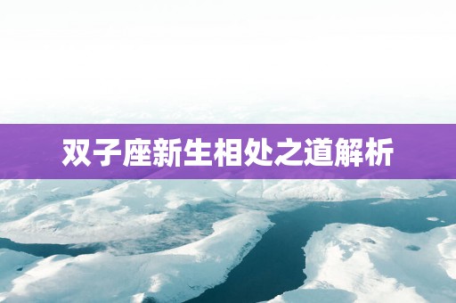 双子座新生相处之道解析