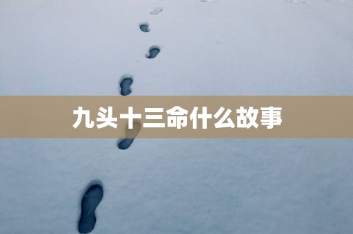 九头十三命什么故事