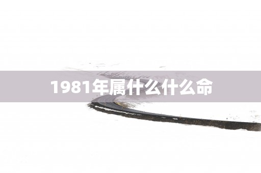 1981年属什么什么命