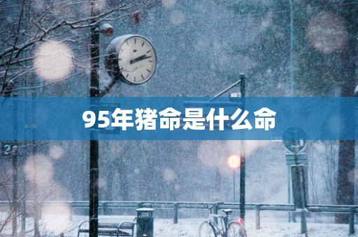 95年猪命是什么命