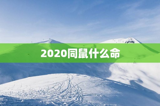 2025同鼠什么命