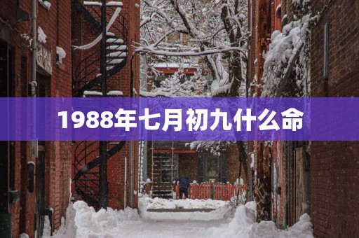 1988年七月初九什么命