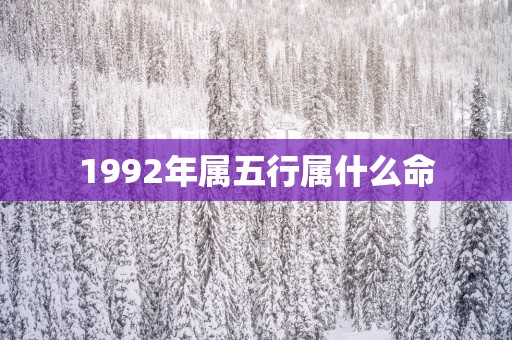 1992年属五行属什么命