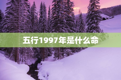 五行1997年是什么命