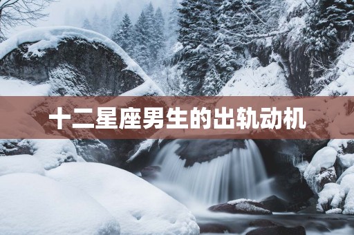 十二星座男生的出轨动机