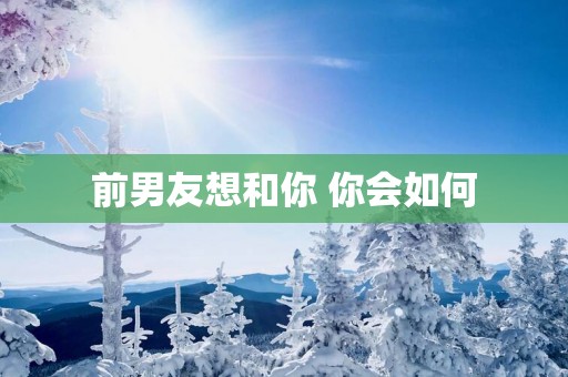 前男友想和你 你会如何