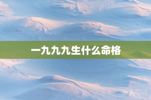 一九九九生什么命格