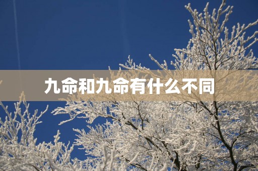 九命和九命有什么不同