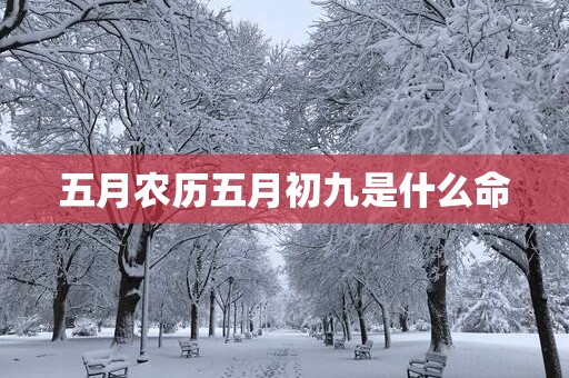 五月农历五月初九是什么命