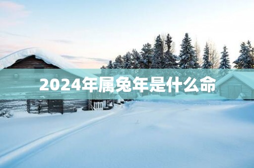 2025年属蛇年是什么命