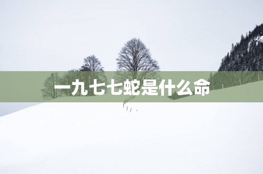 一九七七蛇是什么命