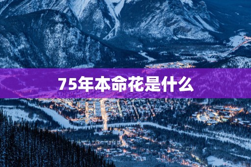 75年本命花是什么