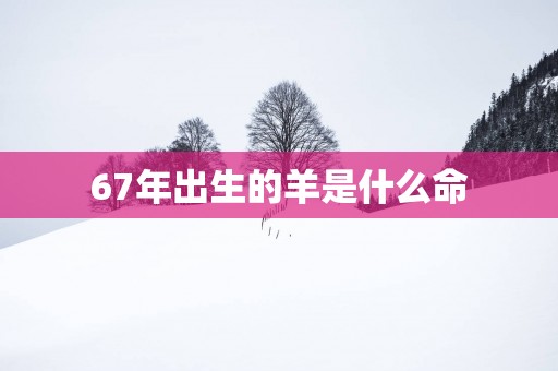 67年出生的羊是什么命