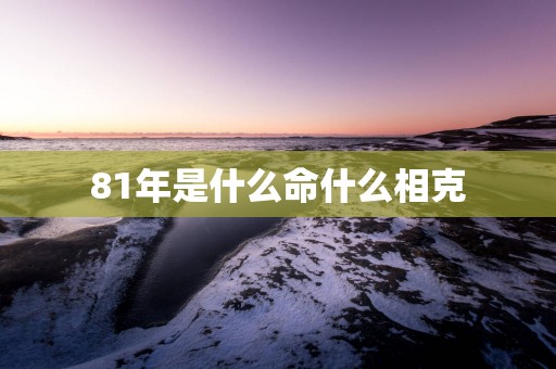 81年是什么命什么相克