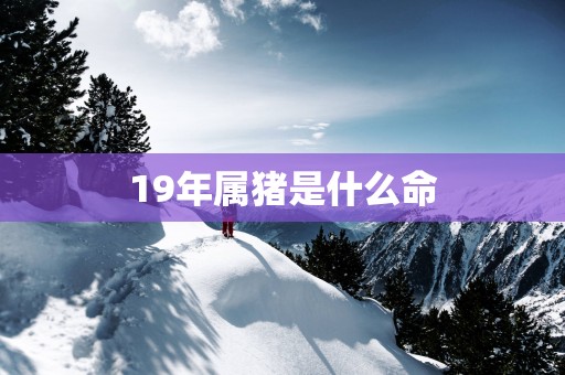 19年属猪是什么命
