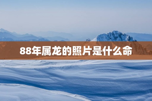 88年属龙的照片是什么命