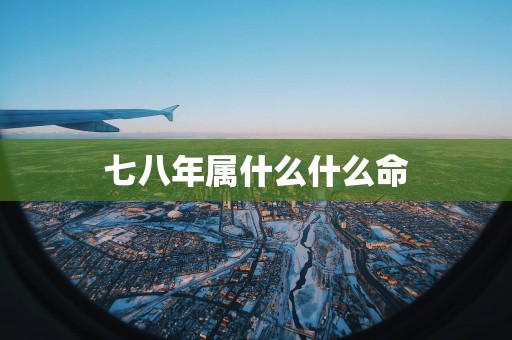 七八年属什么什么命