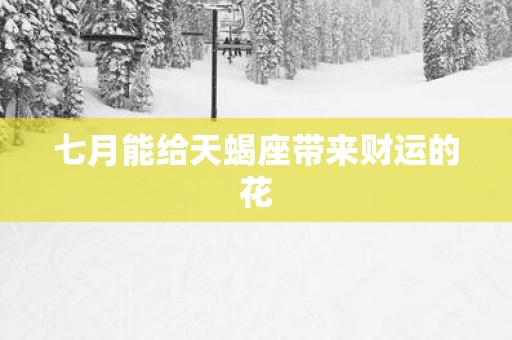 七月能给天蝎座带来财运的花