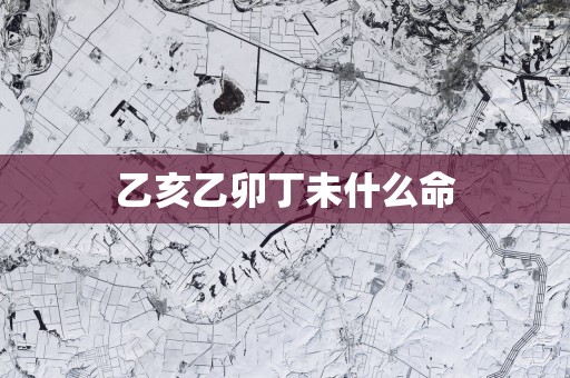 乙亥乙卯丁未什么命