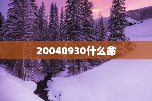 20040930什么命