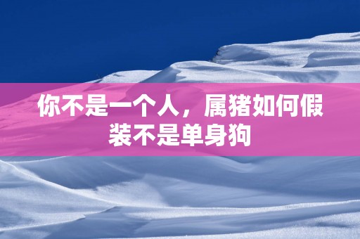 你不是一个人，属猪如何假装不是单身狗