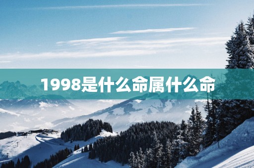 1998是什么命属什么命